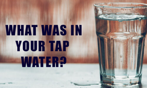 what was in your tap water